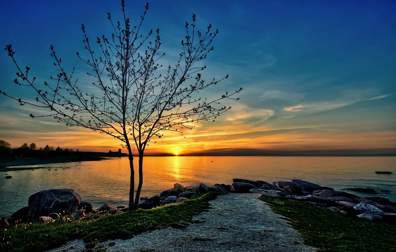 Photo wallpaper beach, the sun, sunset, lake, stones, tree