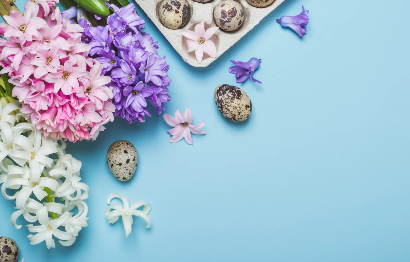 Photo wallpaper flowers, eggs, spring, Easter, flowers, spring, Easter, eggs
