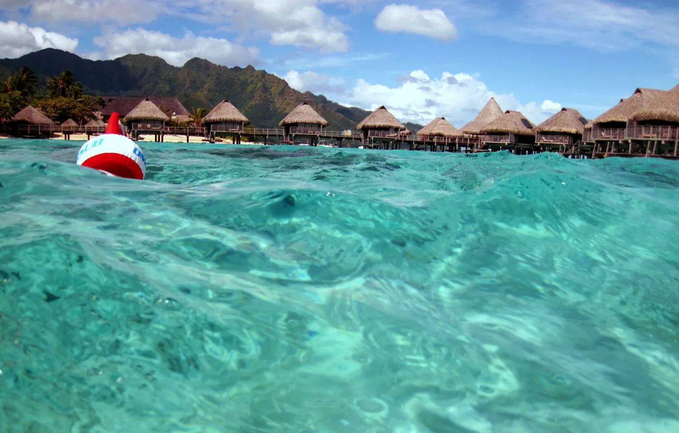 Photo wallpaper water, transparency, the ocean, Laguna, Moorea, Paradise isl