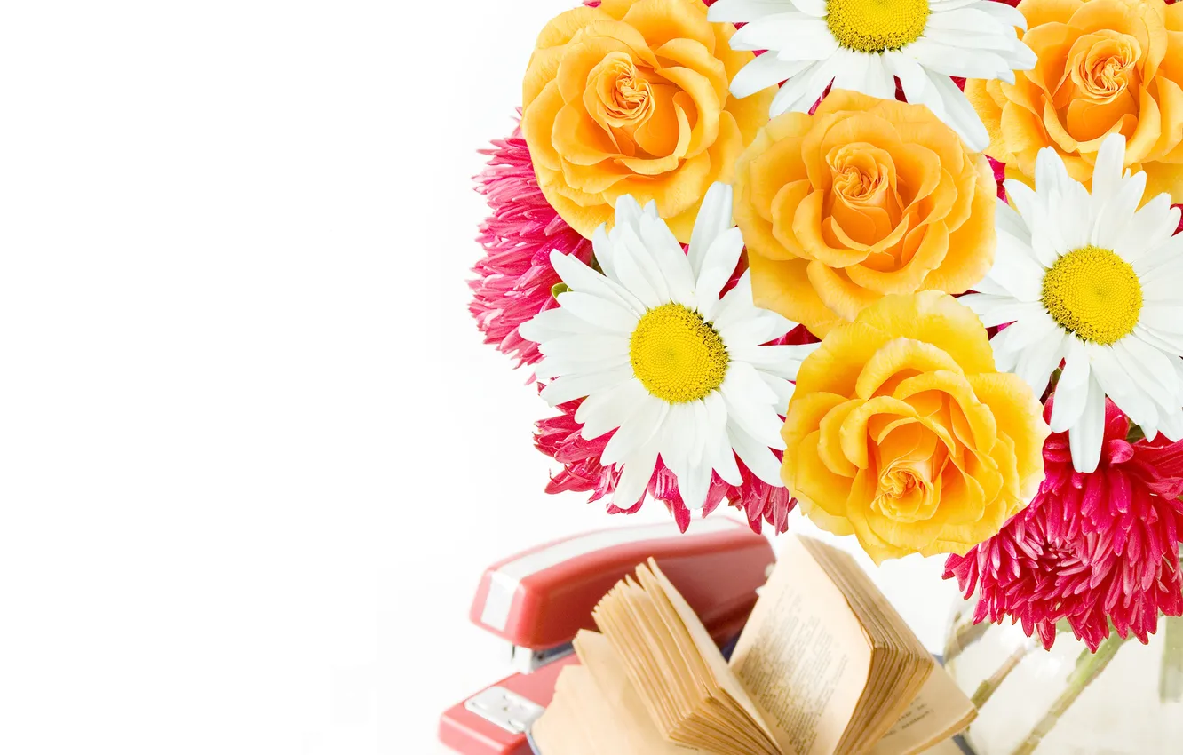 Photo wallpaper flowers, roses, book, petals