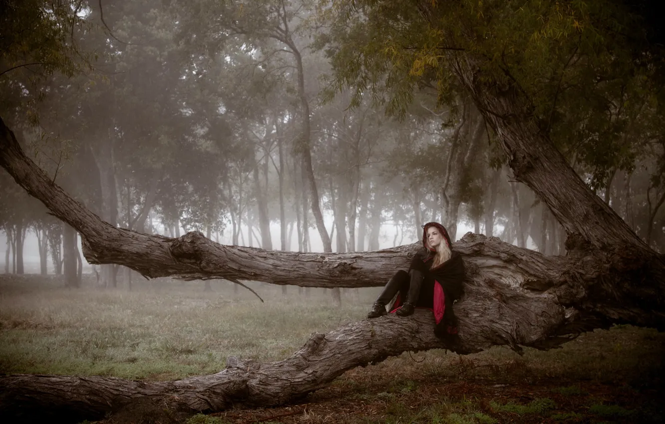 Photo wallpaper girl, tree, mood