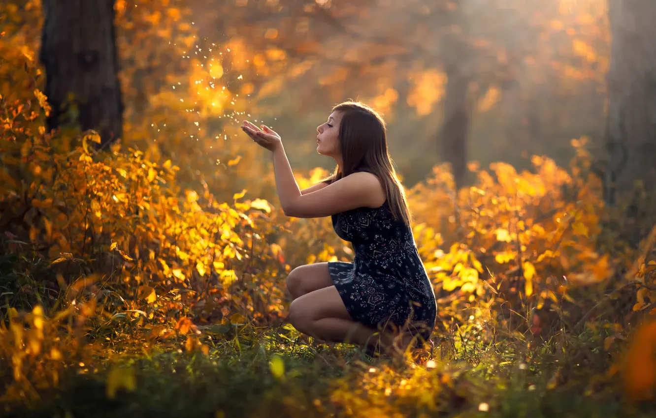 Photo wallpaper autumn, forest, girl, nature, sunlight