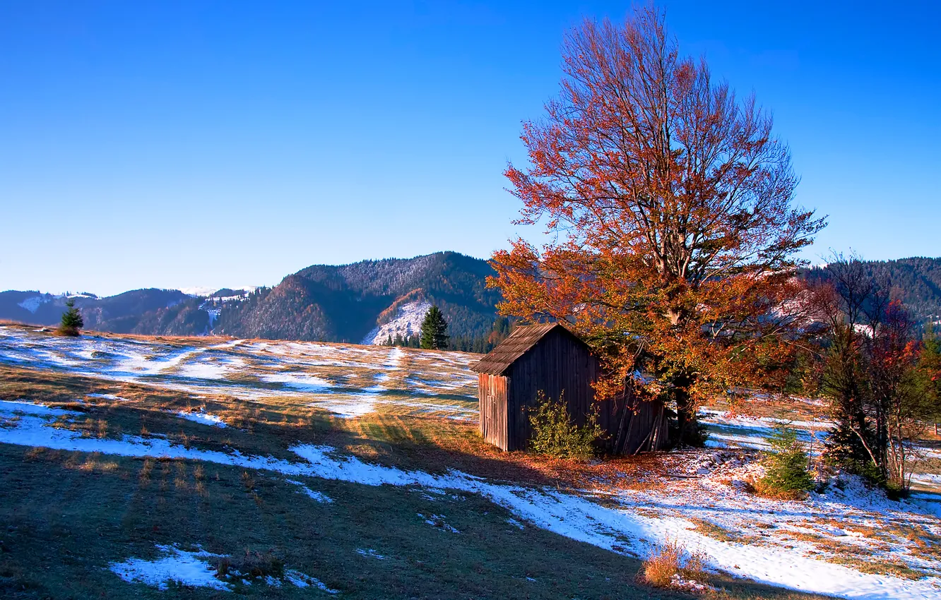 Photo wallpaper field, autumn, the sky, trees, mountains, valley, house, Romania