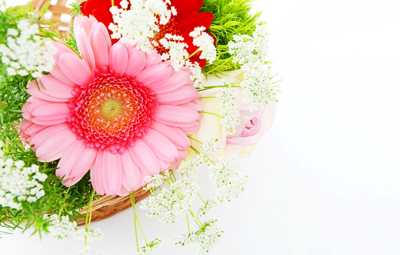 Photo wallpaper pink, gerbera, flowers