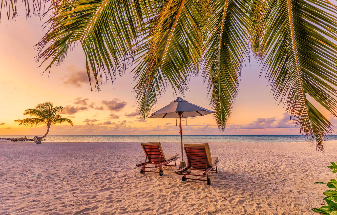 Photo wallpaper sand, sea, beach, tropics, palm trees, the ocean, shore, coast