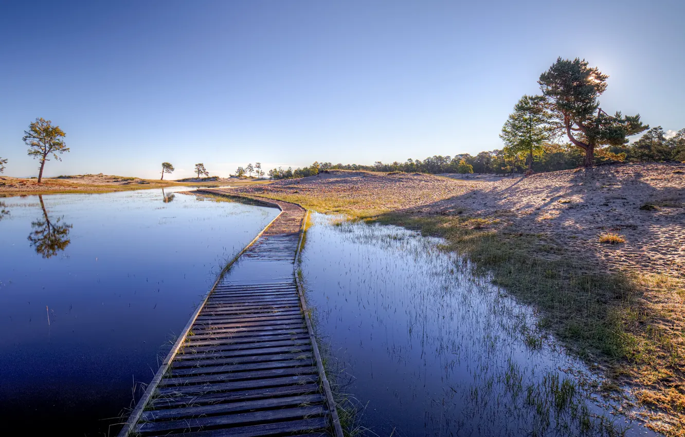 Photo wallpaper bridge, puddle, track