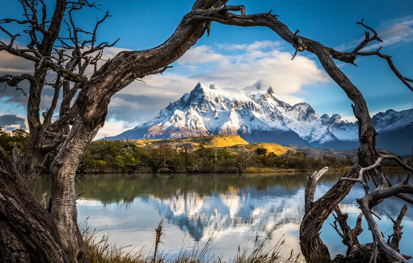 Photo wallpaper grass, trees, landscape, mountains, branches, nature, lake, Patagonia