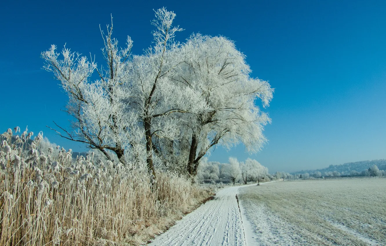 Photo wallpaper winter, frost, road, field, the sky, grass, snow, landscape
