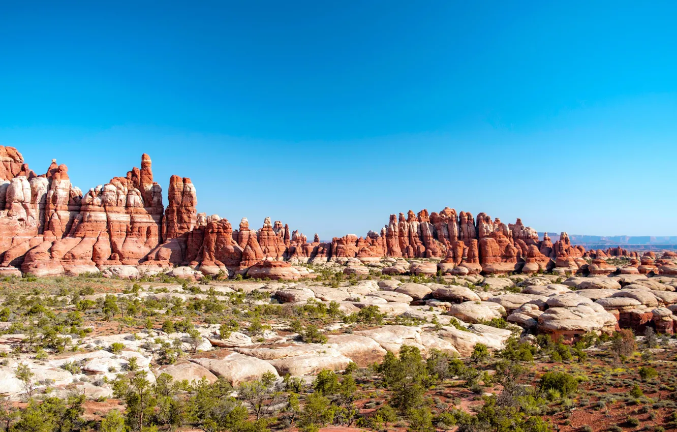 Photo wallpaper USA, USA, Canyonlands National Park, Canyonlands national Park, Red Rock Plateau, Red Rock Plateau