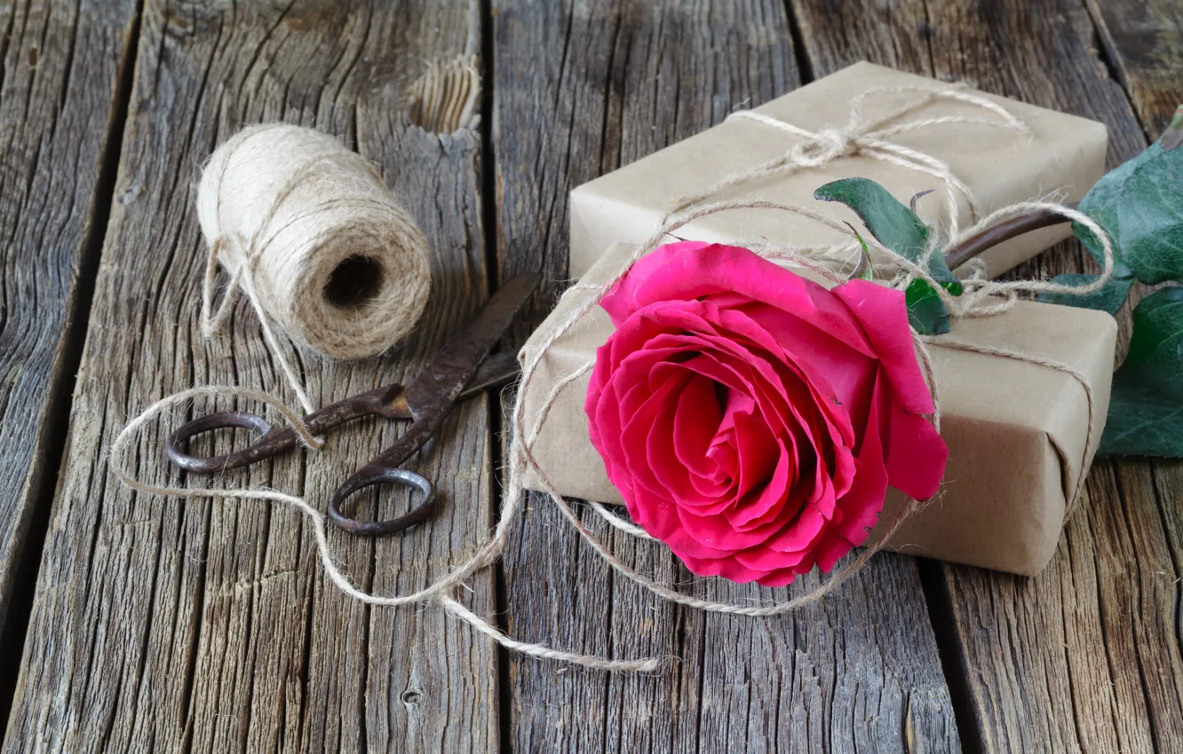 Photo wallpaper roses, thread, scissors