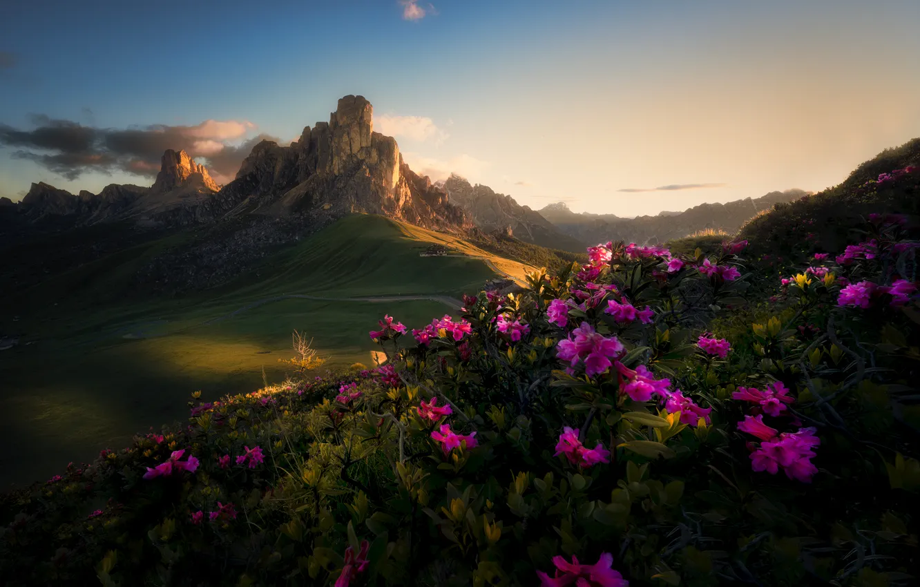 Photo wallpaper the sky, flowers, mountains, valley, Picturesque Landscape, Moravek Martin, Sunrise in the Dolomites