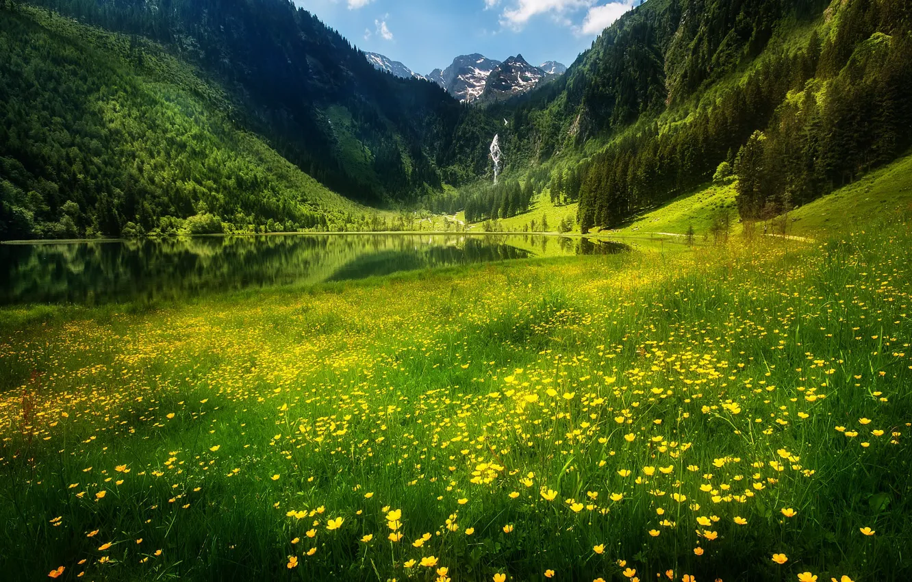 Photo wallpaper forest, landscape, flowers, mountains, nature, lake, waterfall, Austria