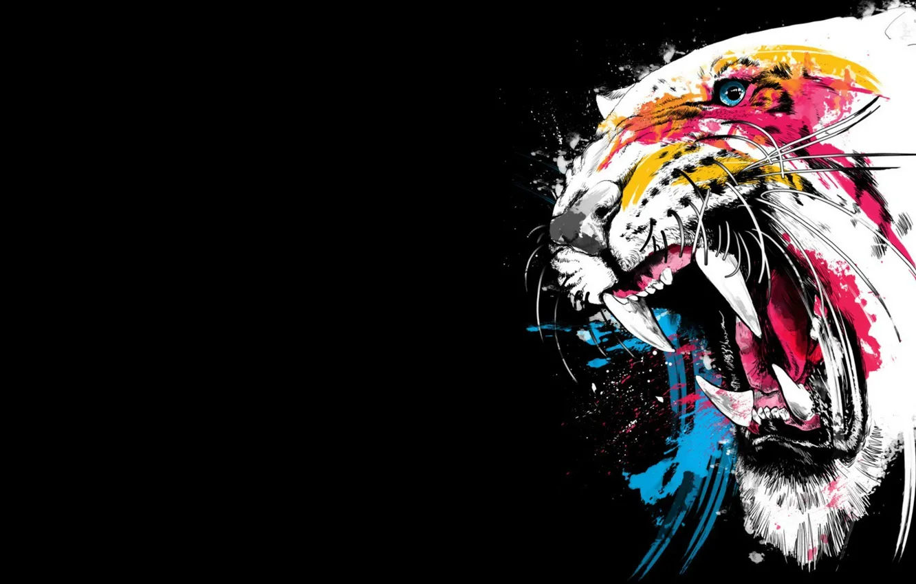 Photo wallpaper face, color, tiger, background, paint, fangs, grin