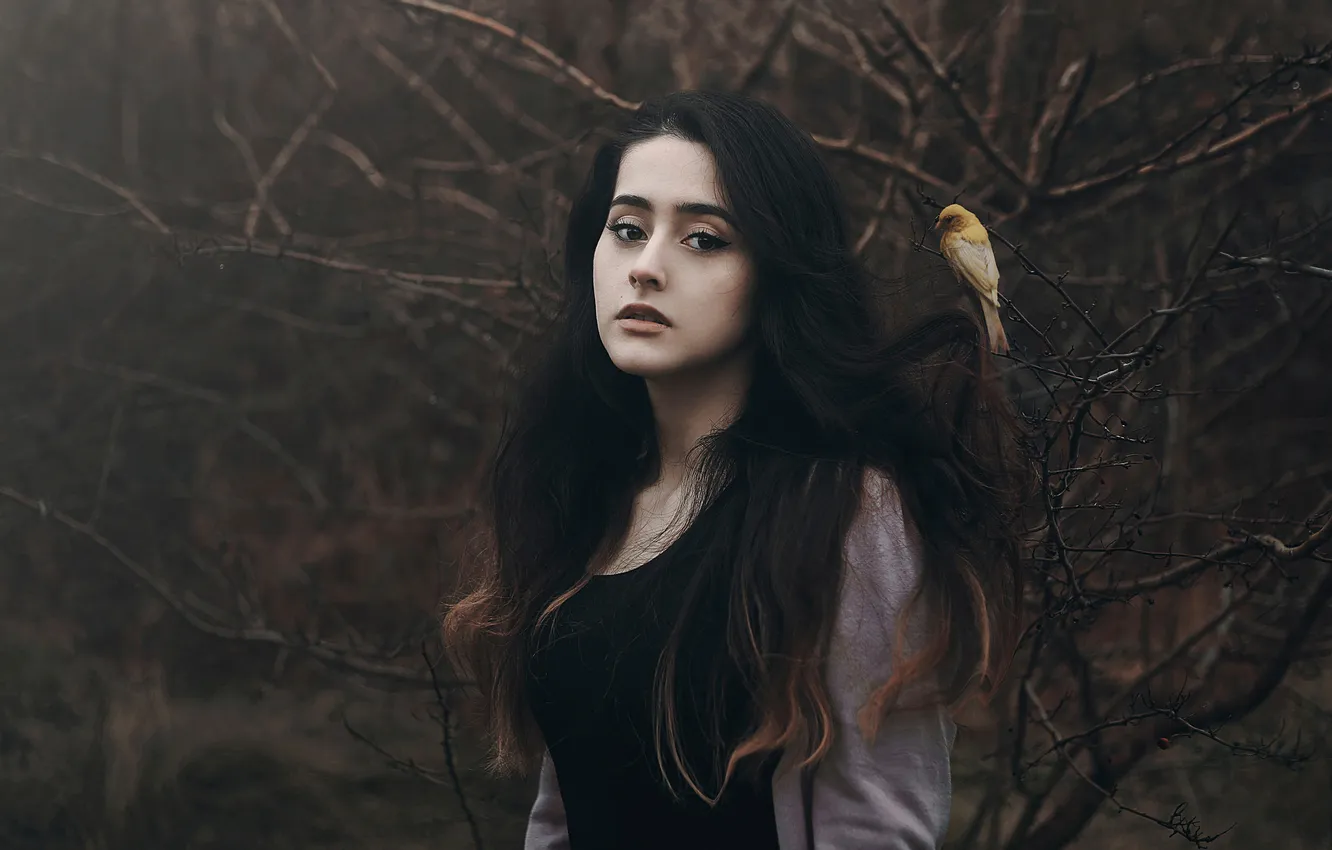 Photo wallpaper forest, girl, bird, cansu ozkaraca
