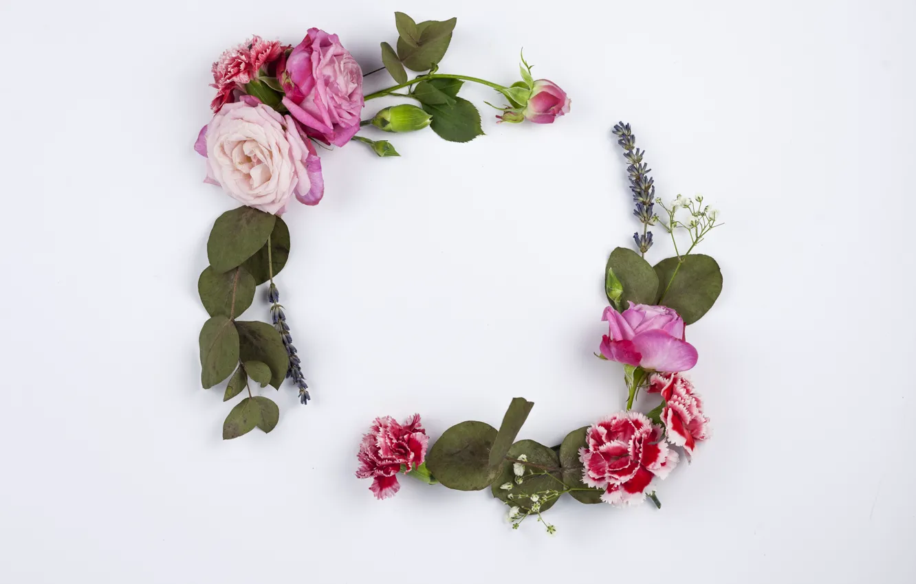 Photo wallpaper white, leaves, flowers, background, roses, frame, composition, clove