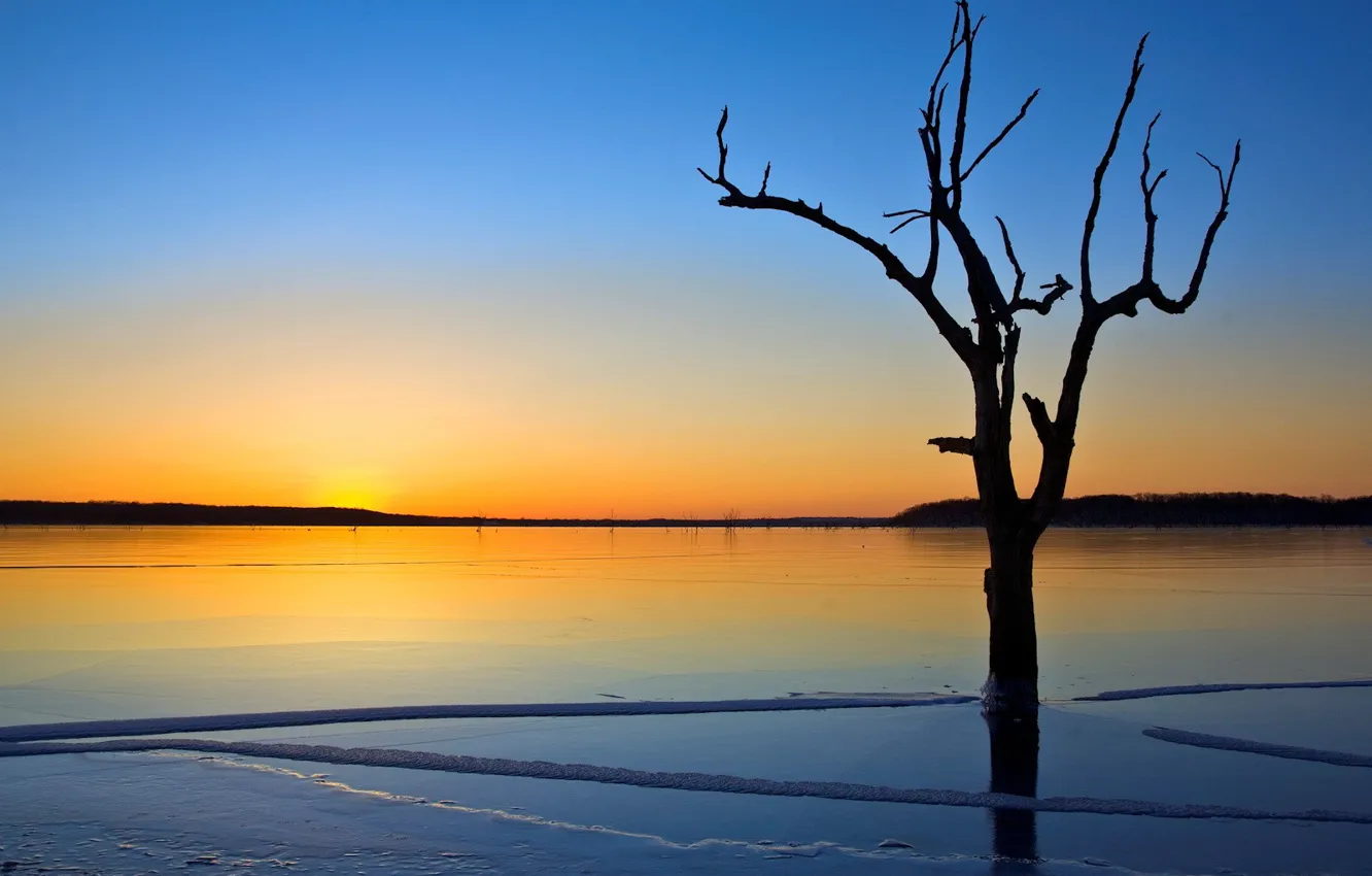 Photo wallpaper ice, trees, lake