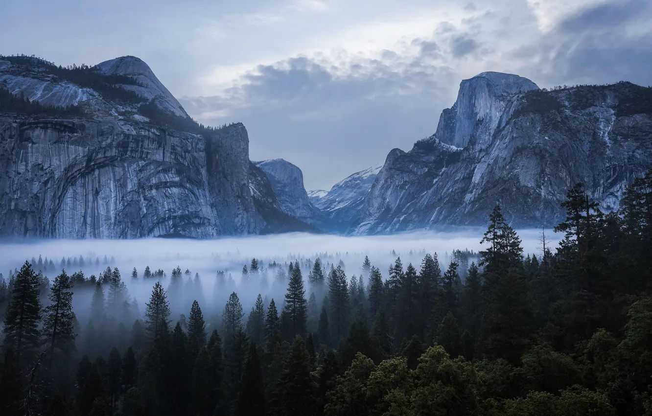 Photo wallpaper the sky, clouds, trees, mountains, nature, fog, rocks, USA