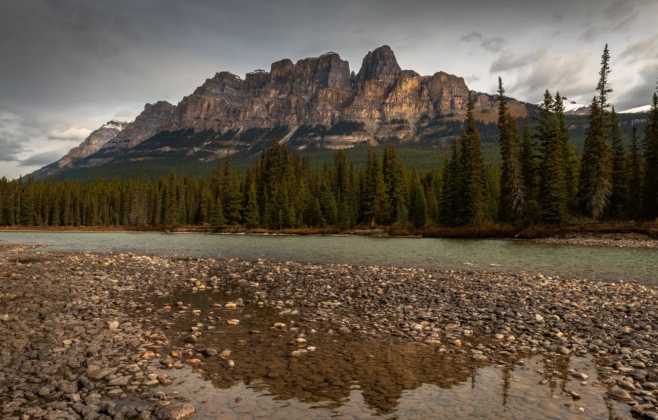 Photo wallpaper forest, the sky, clouds, trees, mountains, river, stones, rocks