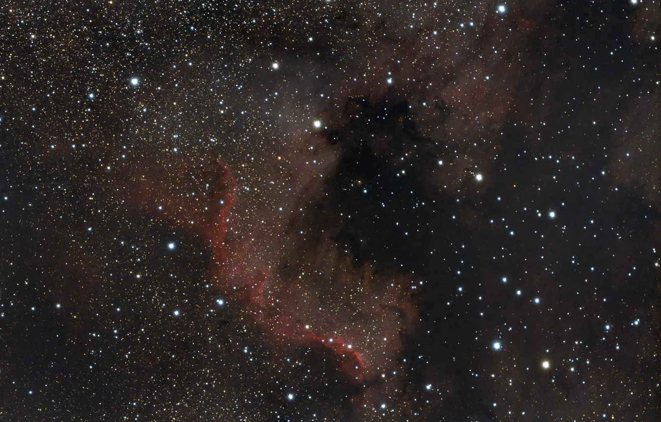 Photo wallpaper space, nebula, North America, NGC7000