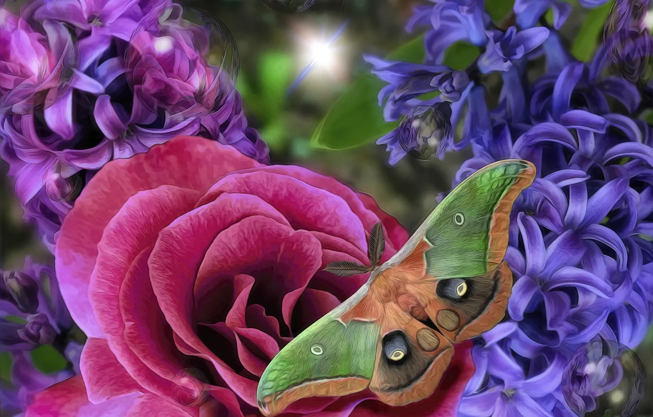 Photo wallpaper flowers, roses, moth, hyacinths