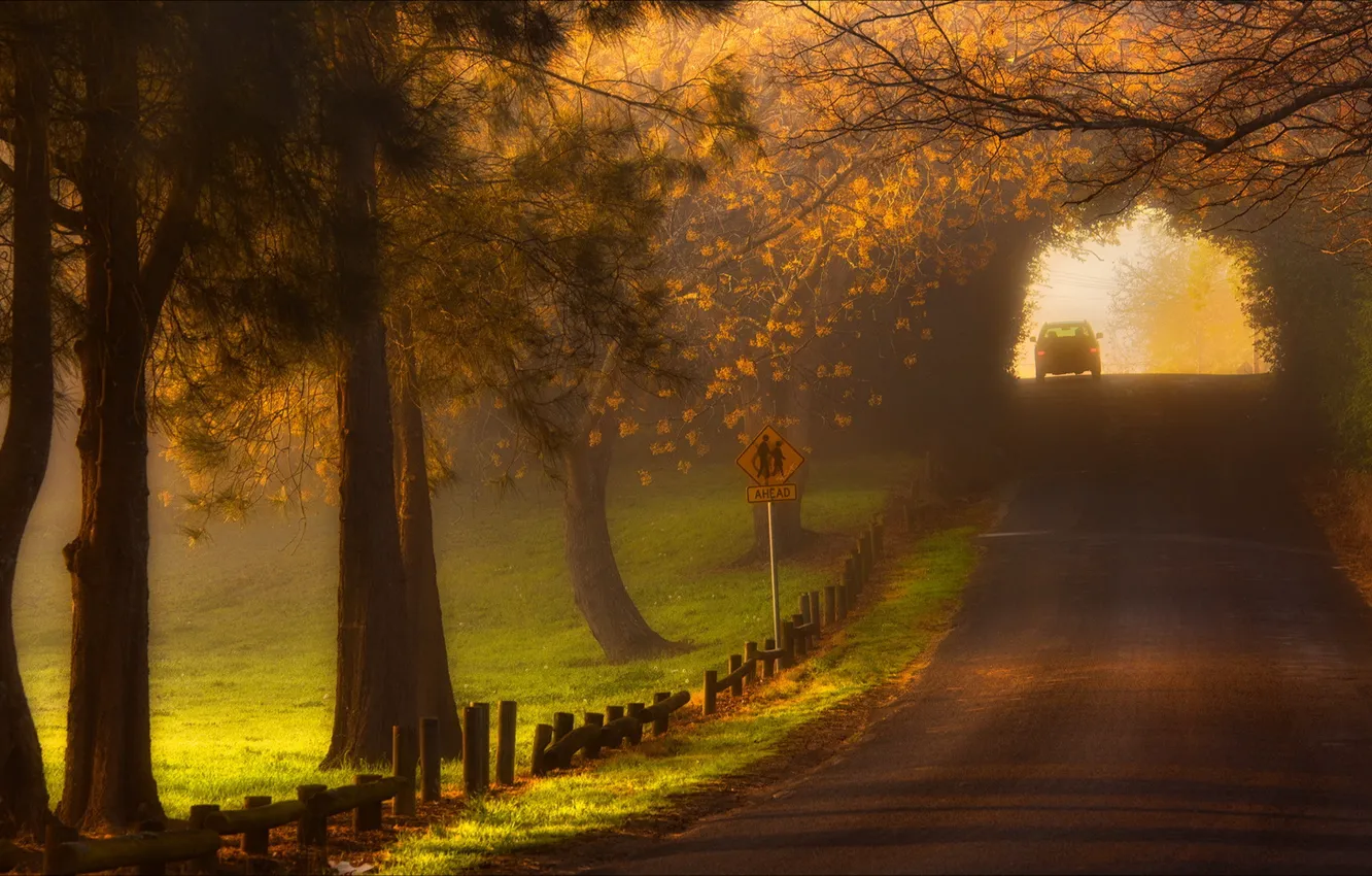 Photo wallpaper road, landscape, fog, morning