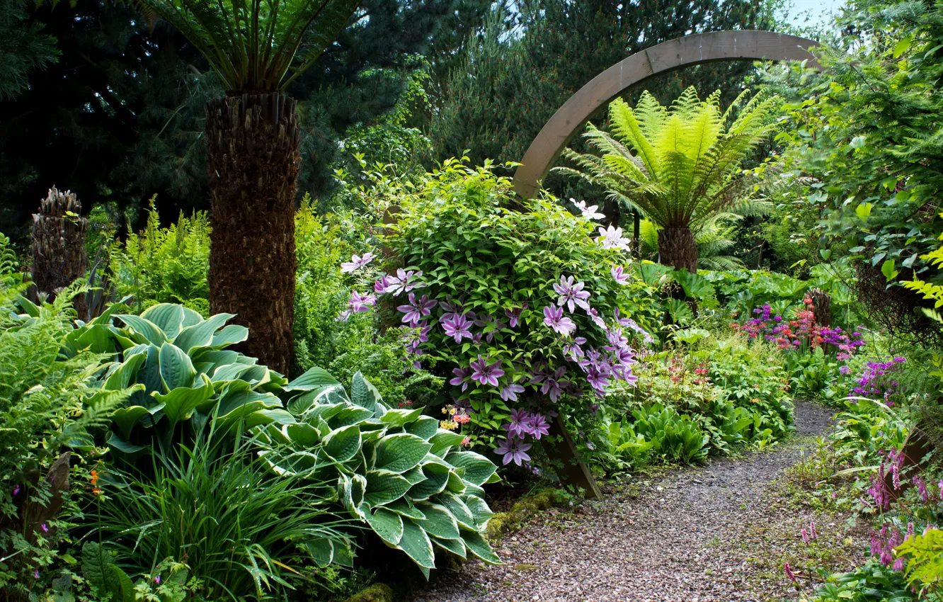 Photo wallpaper greens, trees, flowers, Park, garden, UK, path, the bushes