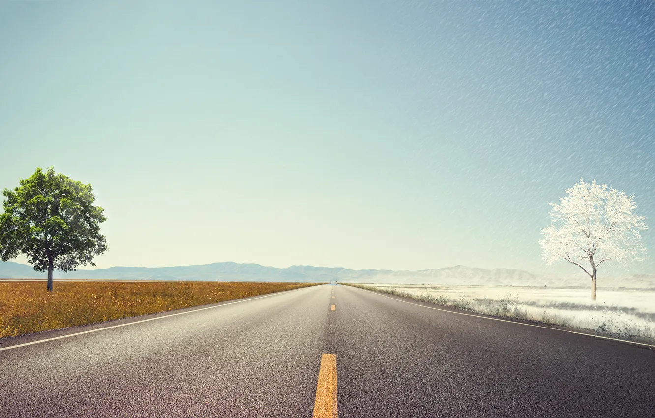 Photo wallpaper road, the sky, trees, horizon