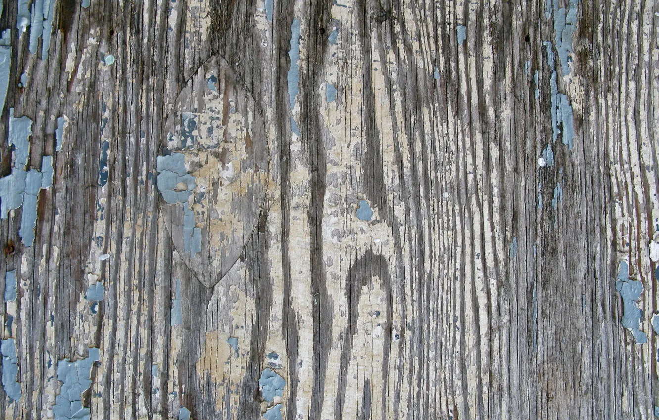 Photo wallpaper tree, texture, Board