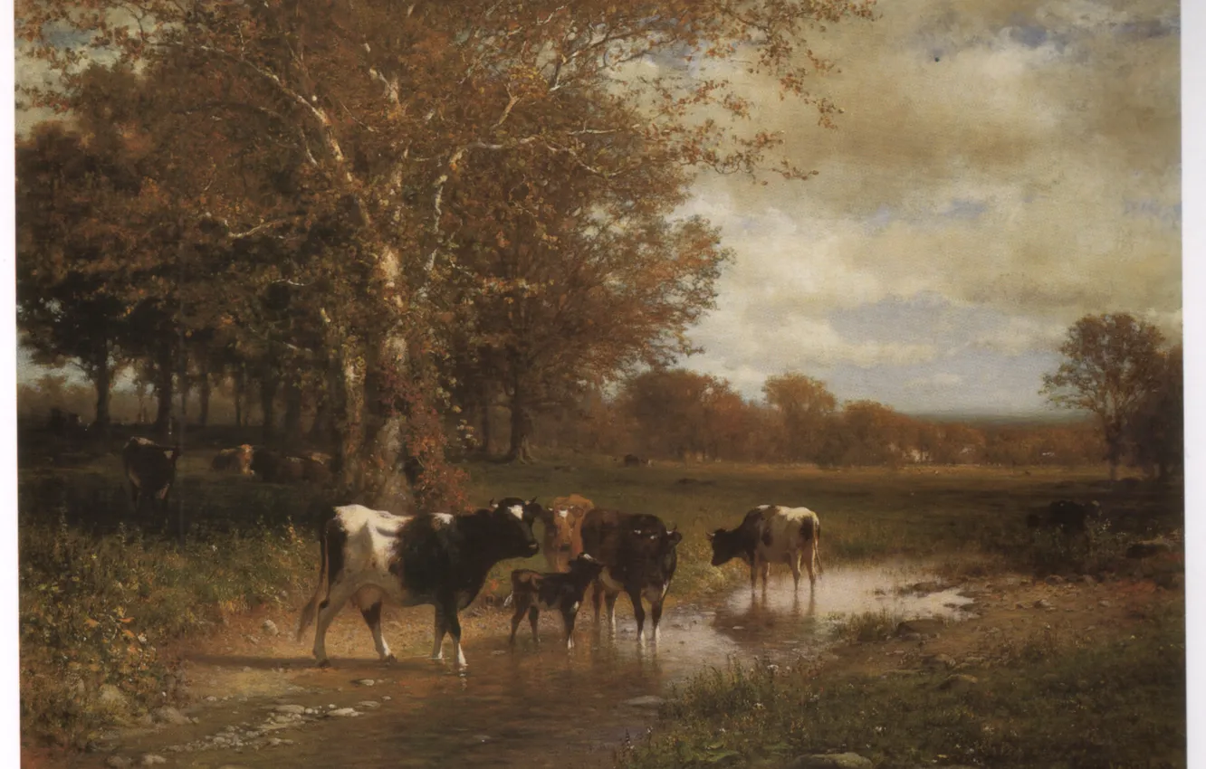 Photo wallpaper Hart, calf, CATTLE BY A SREAM, cows drink