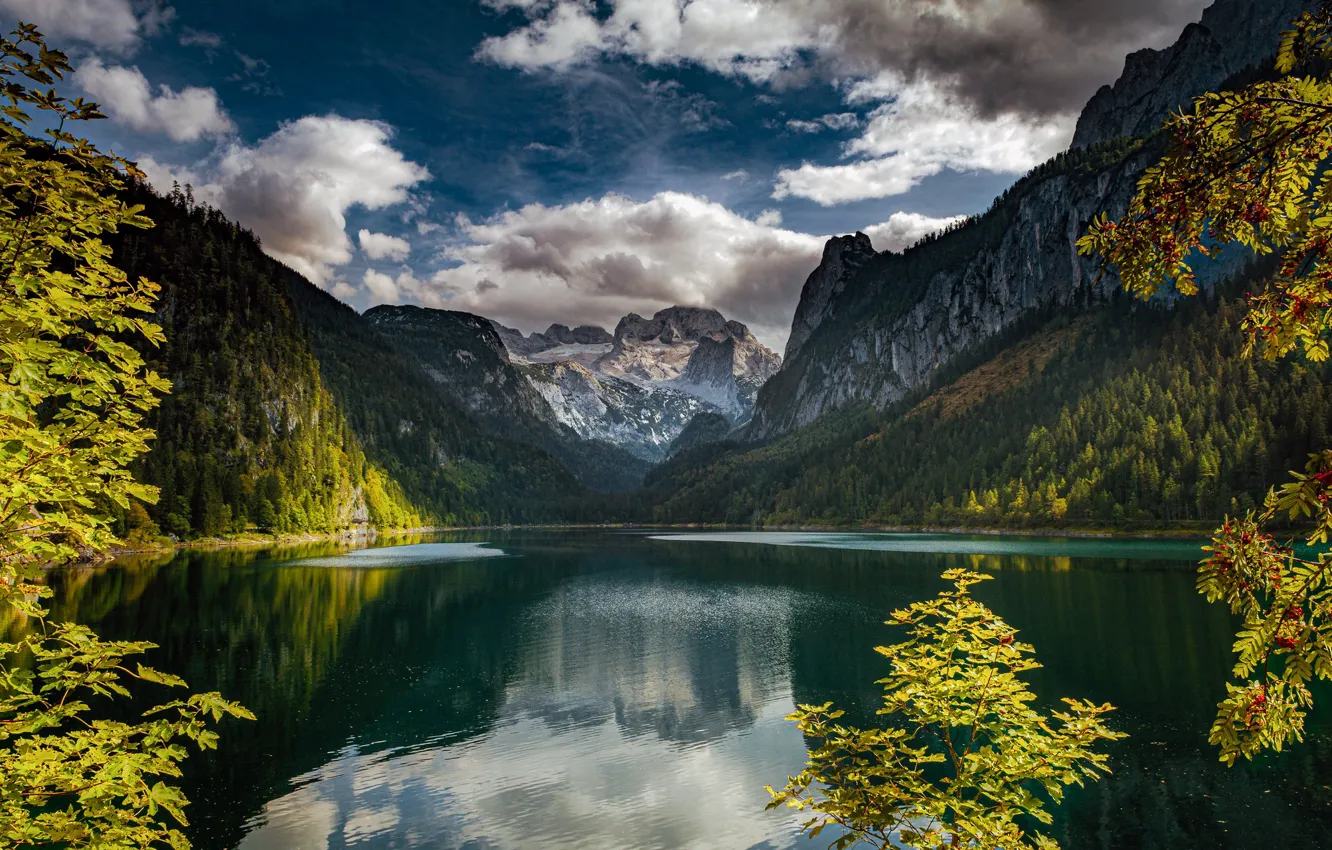 Photo wallpaper mountains, branches, lake, reflection, Austria, Alps, Rowan, Austria
