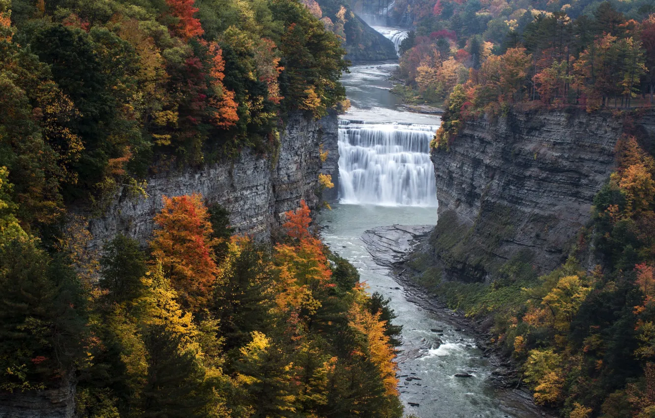 Photo wallpaper trees, river, rocks, waterfall, canyon, the state of new York, falls Middle falls, State Park …