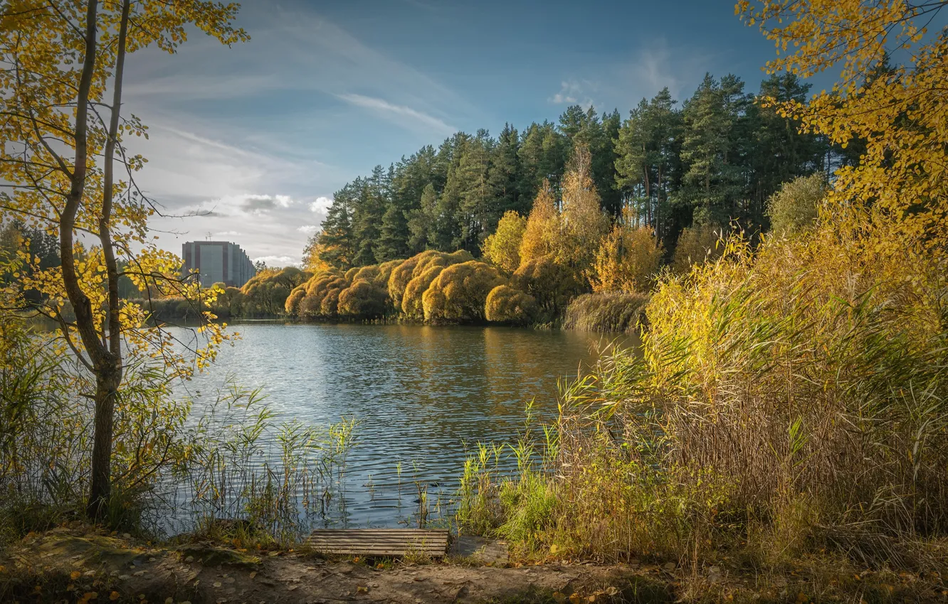 Photo wallpaper autumn, forest, pond