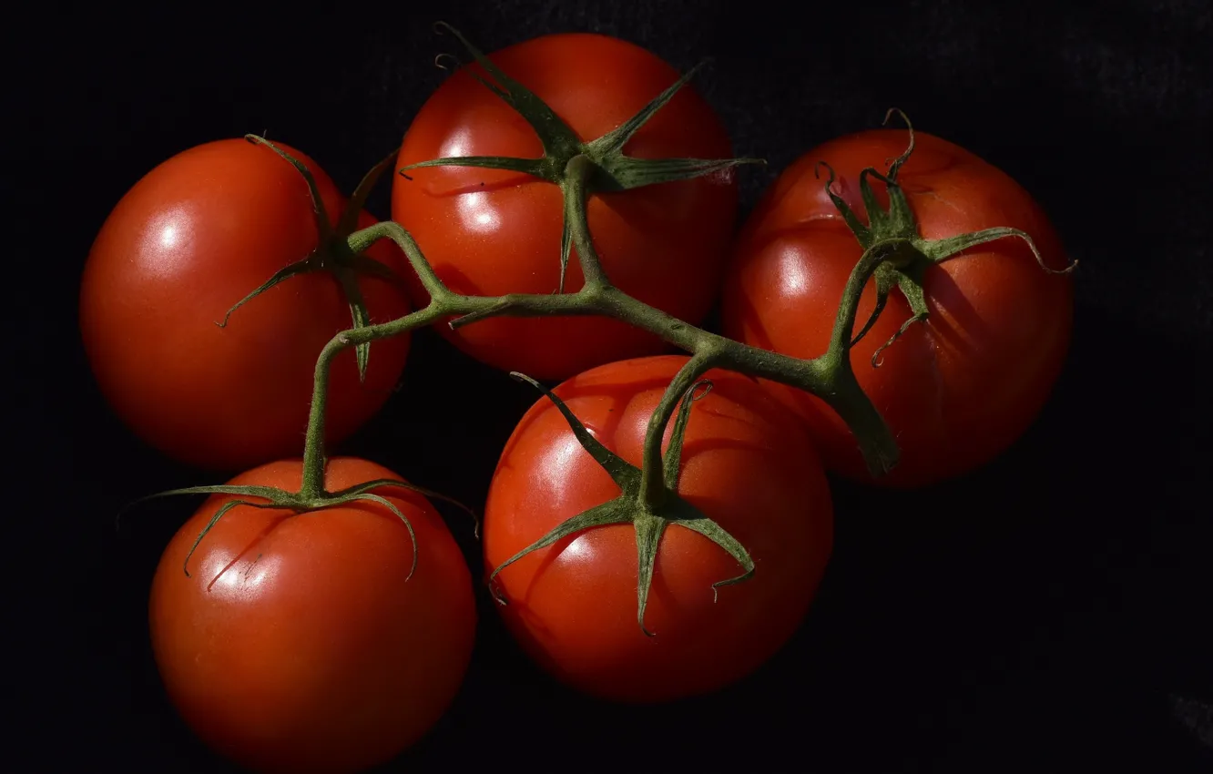 Photo wallpaper red, tomatoes, black background