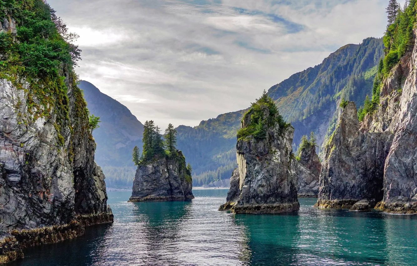 Photo wallpaper beauty, Alaska, Alaska, National Park, National Park, Kenai Fjords, Spire Cove, Spyre Bay