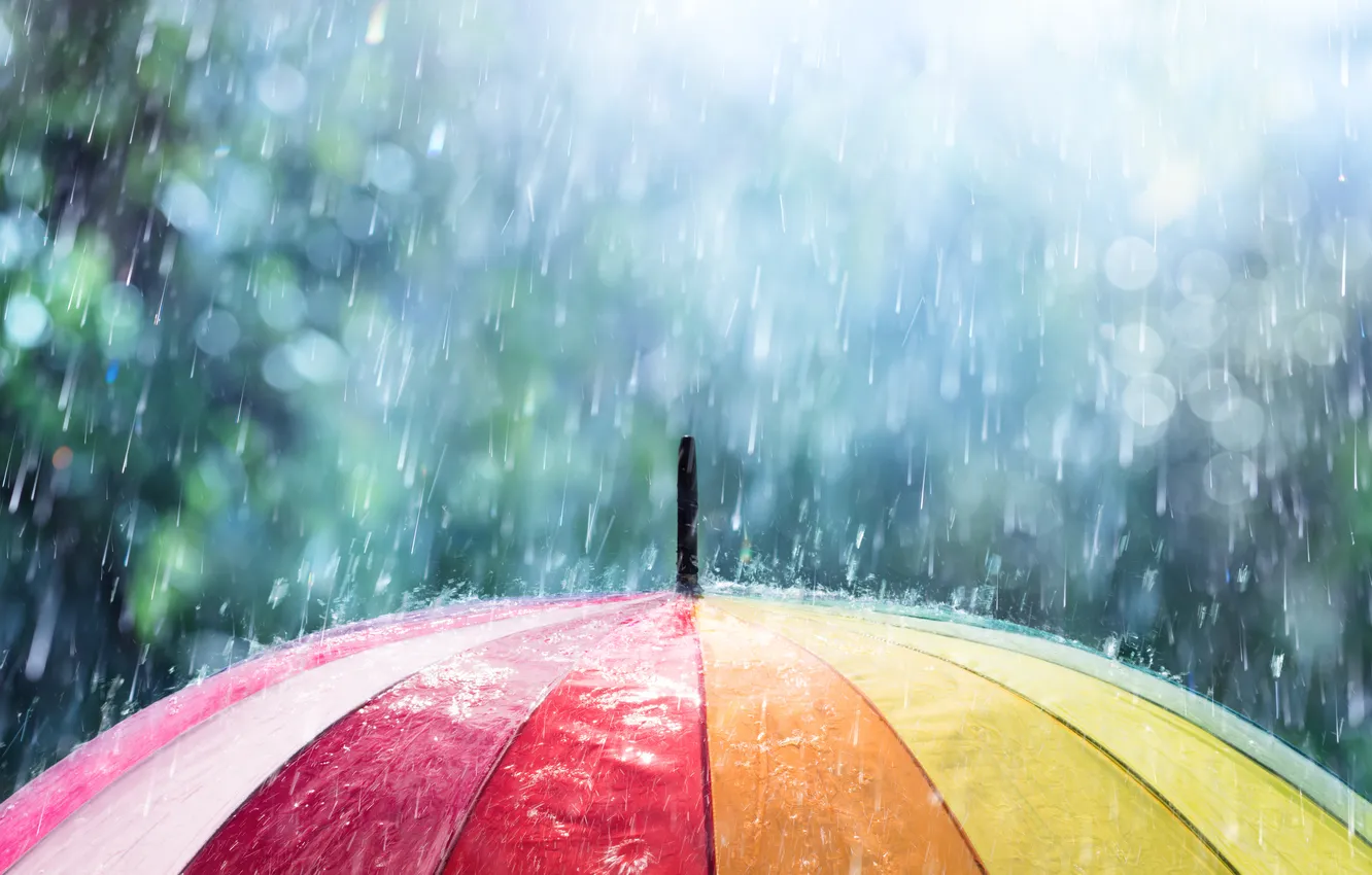 Photo wallpaper colors, rain, umbrella