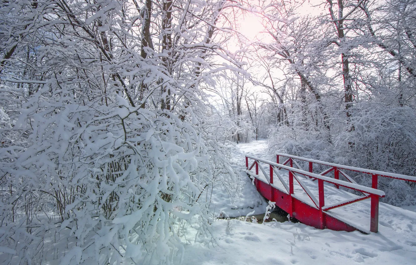 Photo wallpaper winter, snow, trees, Park, the bridge