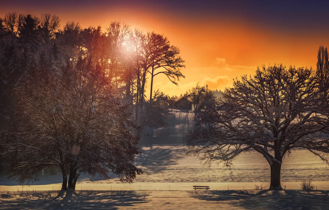 Photo wallpaper winter, the sun, trees, home, treatment