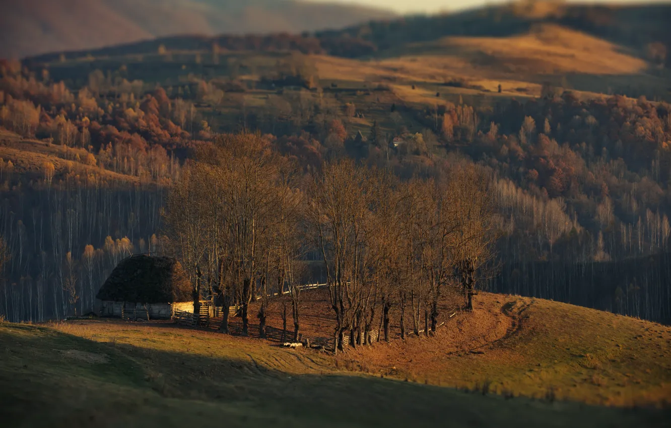 Photo wallpaper autumn, trees, landscape, nature, house, hills, forest, meadows