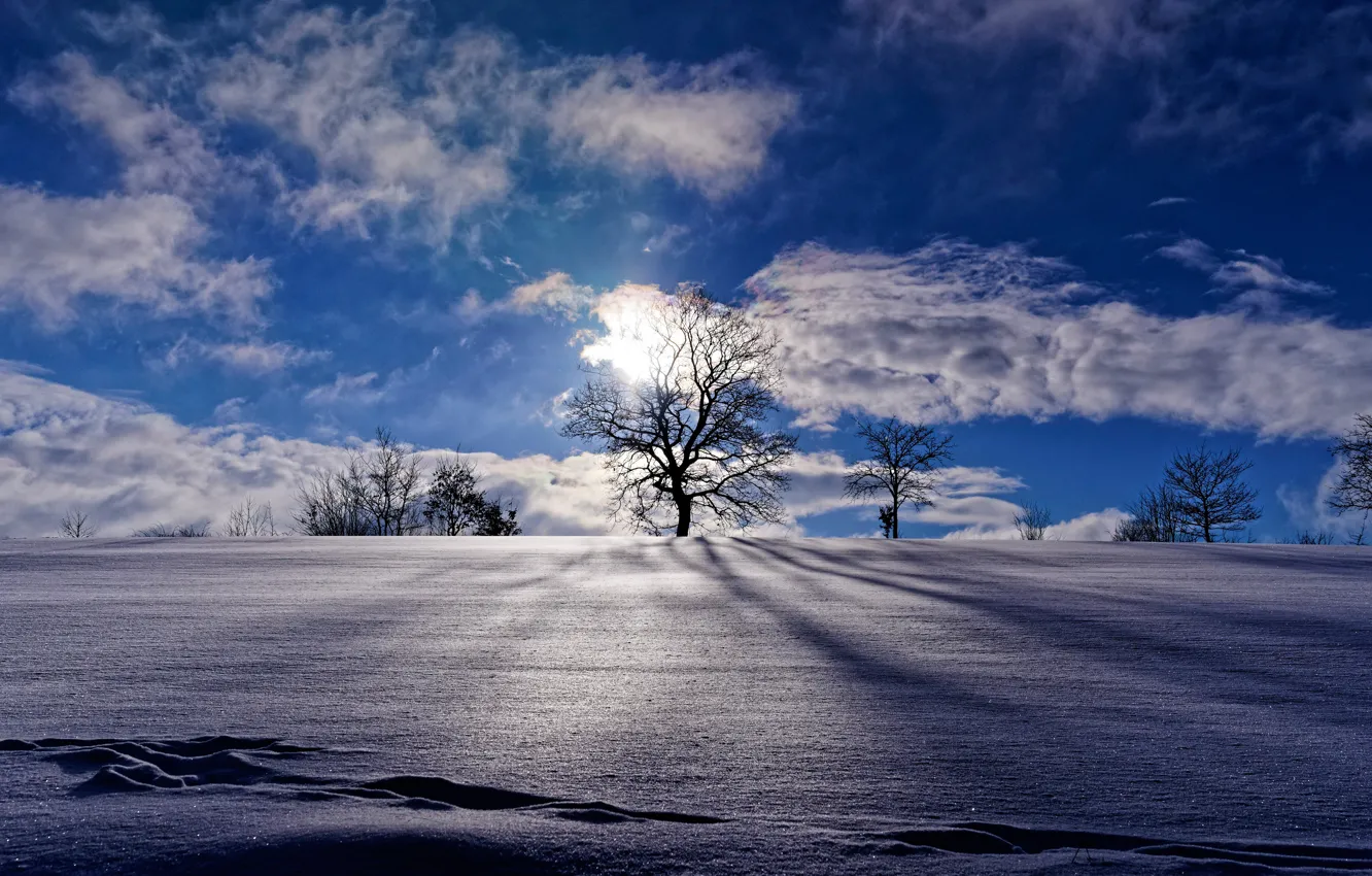 Photo wallpaper winter, the sky, clouds, snow, trees, Germany