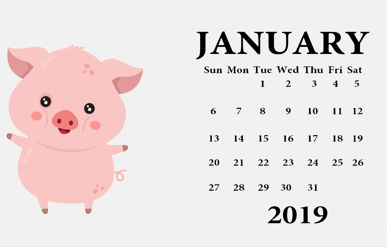 Photo wallpaper pig, pig, calendar for 2019