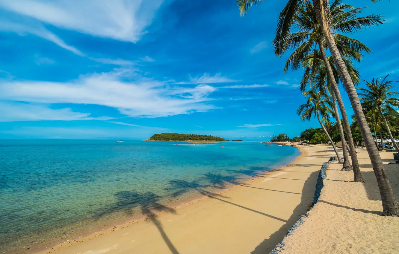 Photo wallpaper sand, sea, beach, summer, the sky, the sun, palm trees, shore