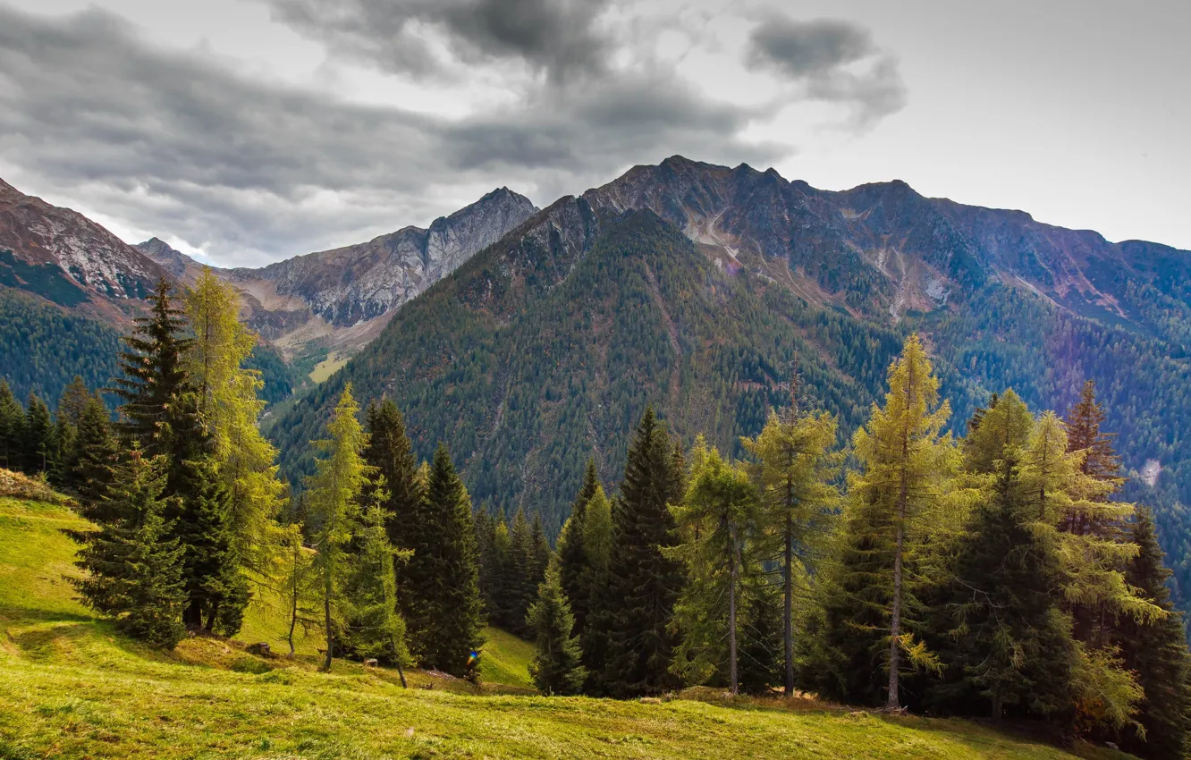 Photo wallpaper the sky, trees, mountains, clouds, nature, overcast, rocks