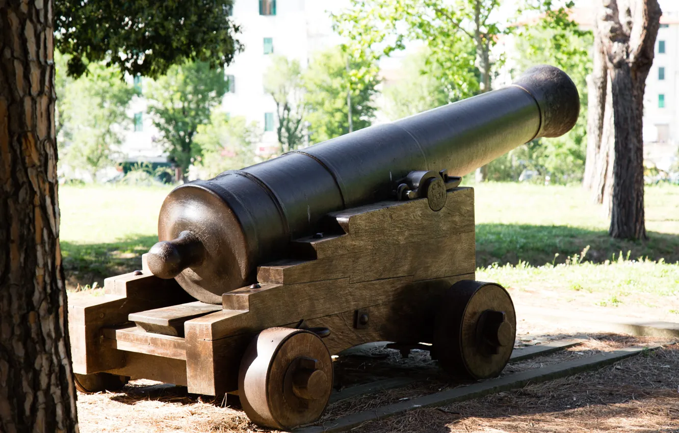 Photo wallpaper weapons, gun, vintage