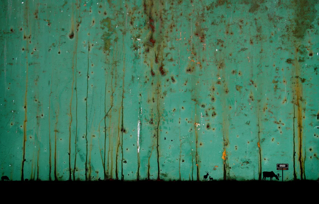 Photo wallpaper forest, rust, rustic, forest