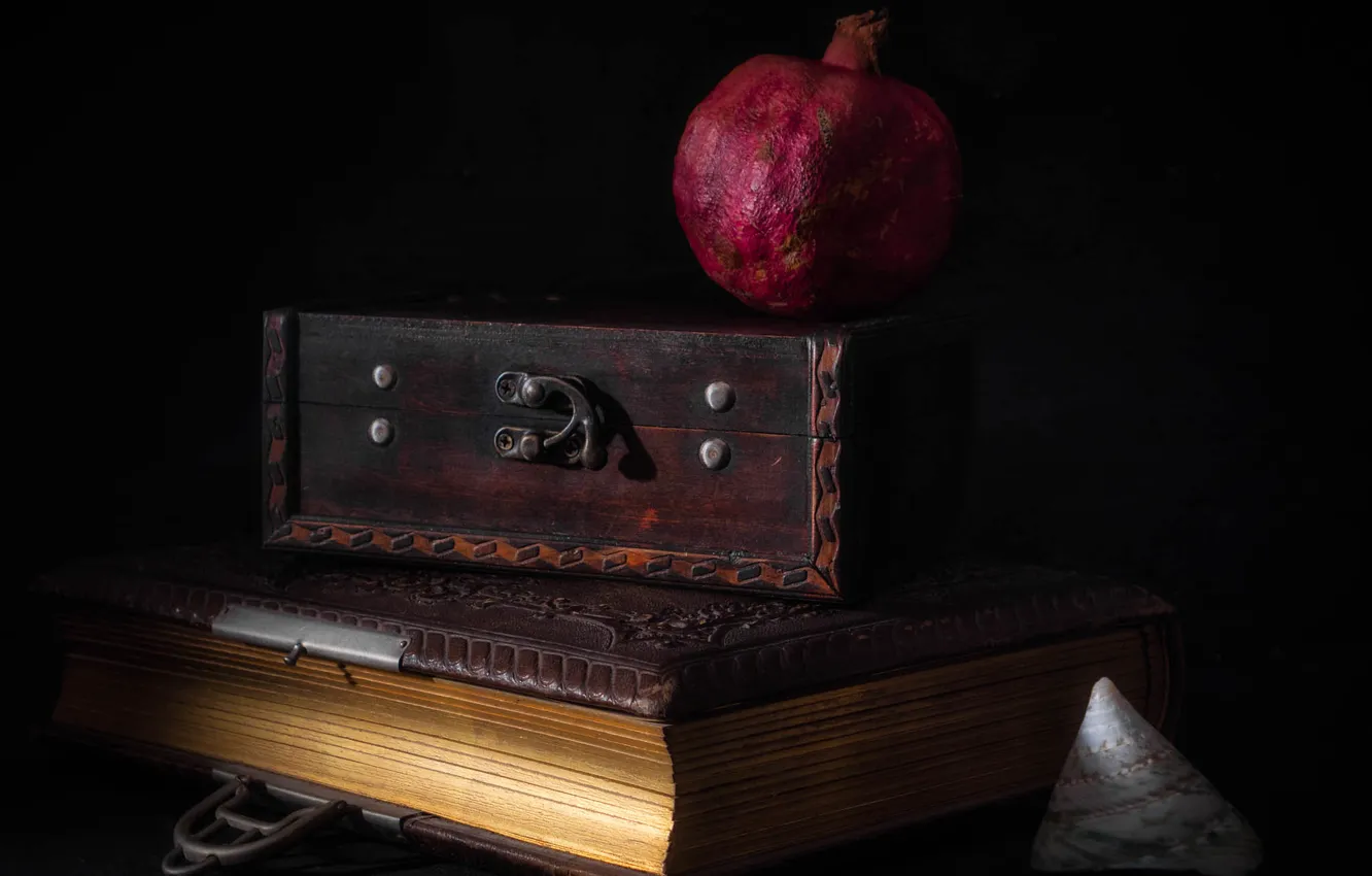 Photo wallpaper box, book, shell, still life, garnet