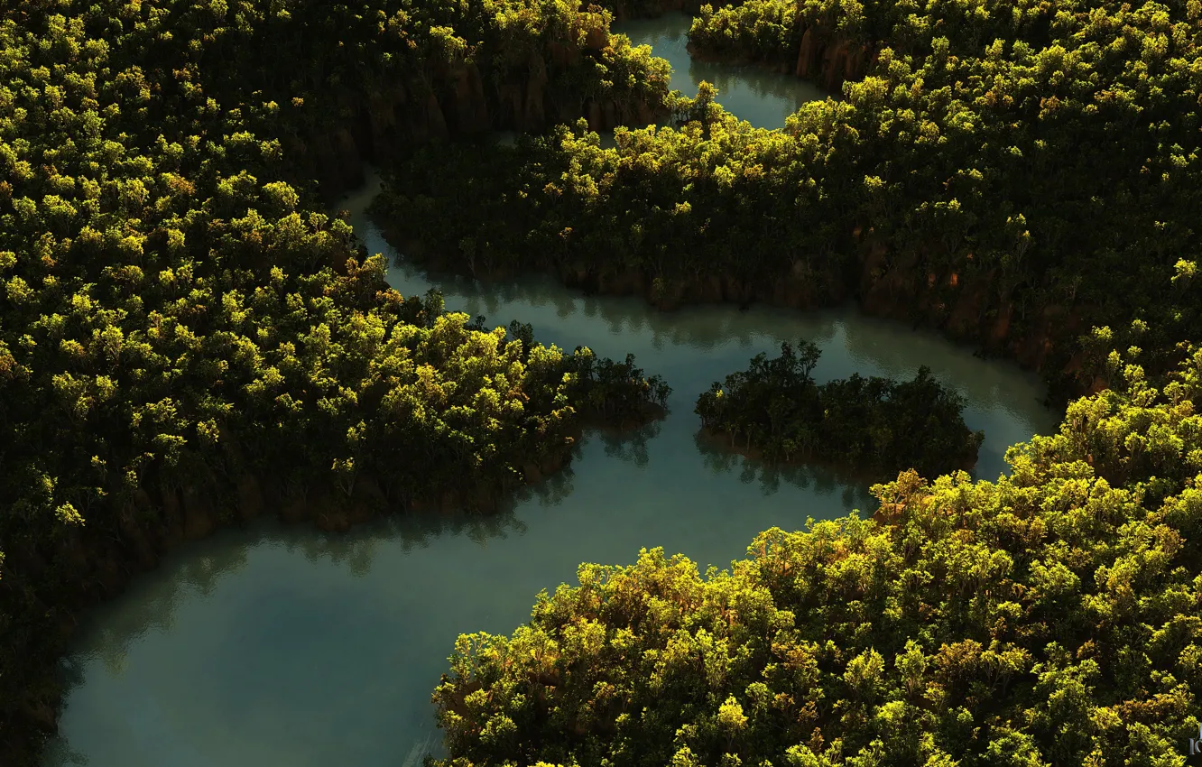Photo wallpaper forest, summer, nature, river, Snake Creek