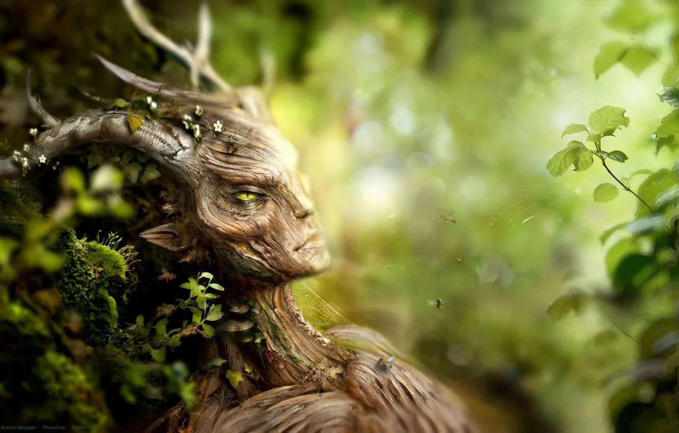 Photo wallpaper forest, flowers, bee, plant, moss, being, bark, Skyrim