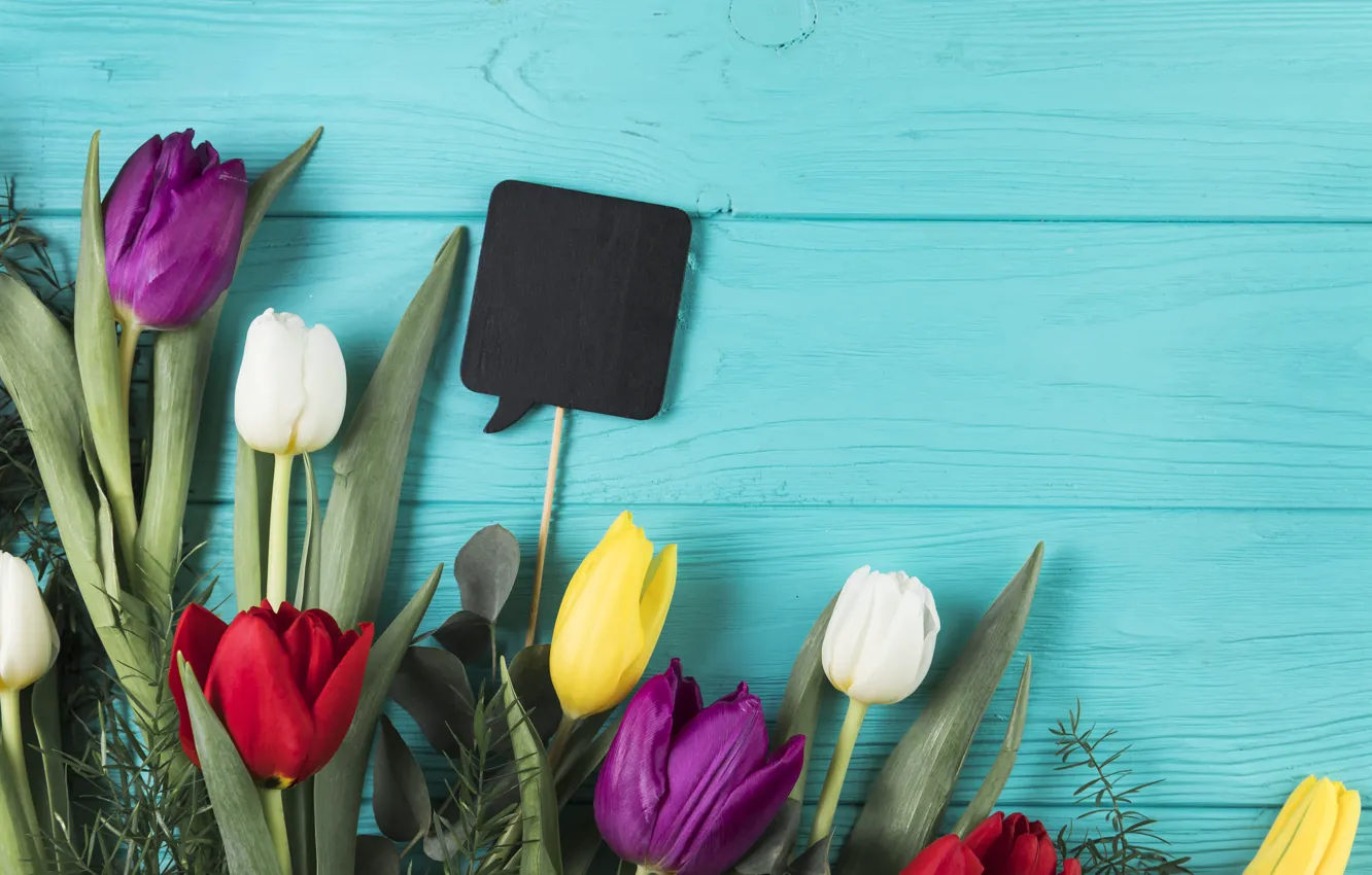 Photo wallpaper flowers, colorful, tulips, flowers, beautiful, tulips, spring, multicolored