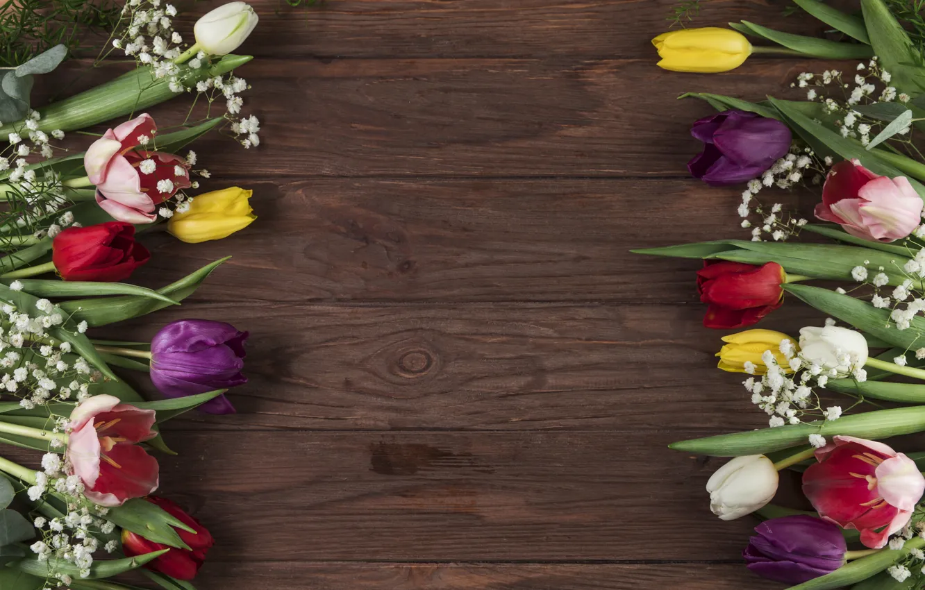 Photo wallpaper flowers, colorful, tulips, flowers, beautiful, tulips, spring, multicolored