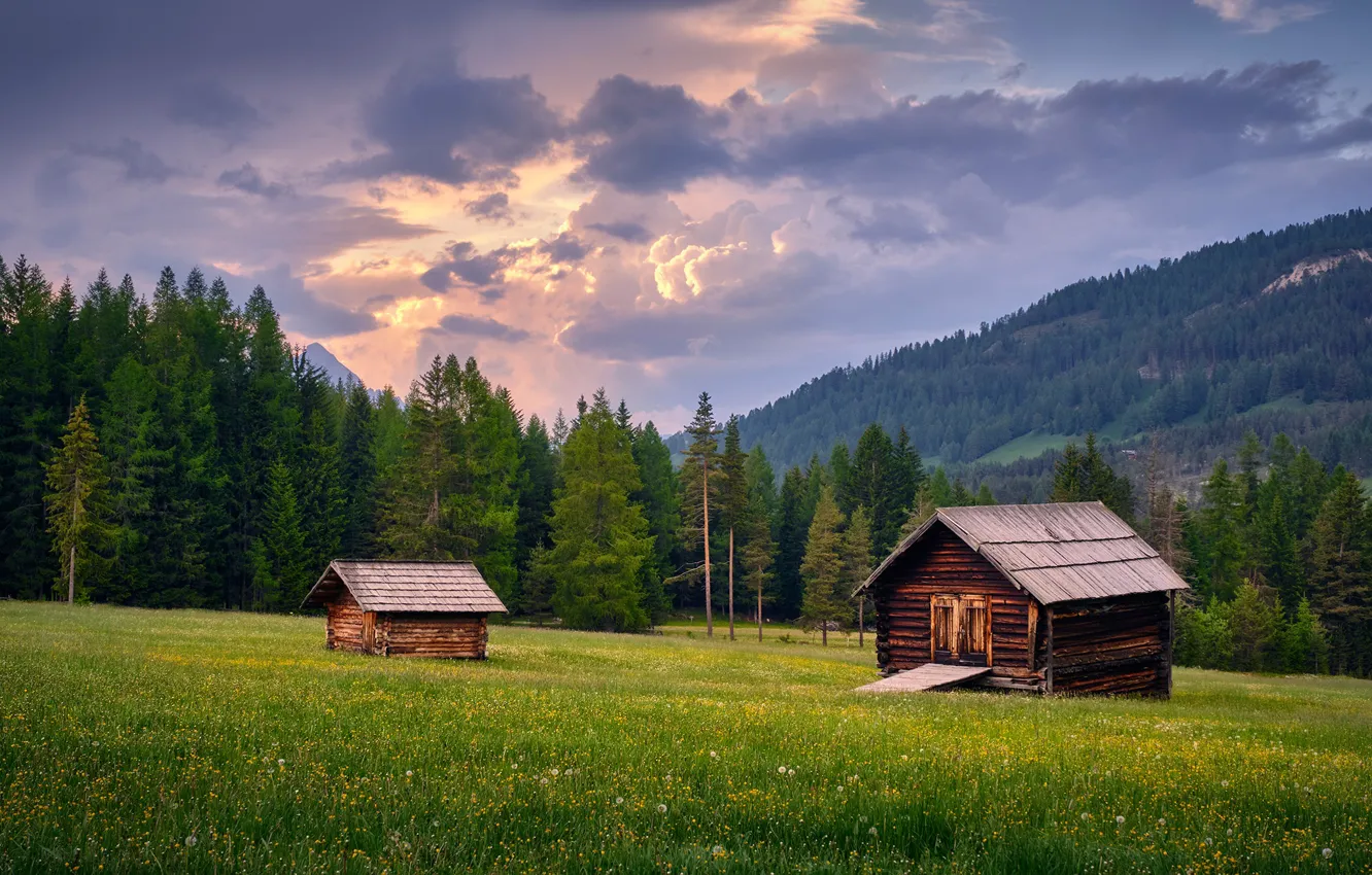 Photo wallpaper forest, summer, mountains, Alps, meadow, house